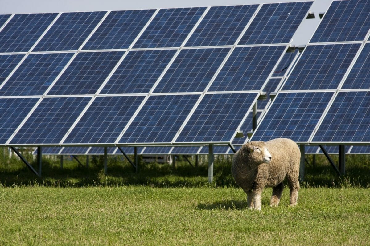 Ambition Against Climate Change Goes Solar-powered