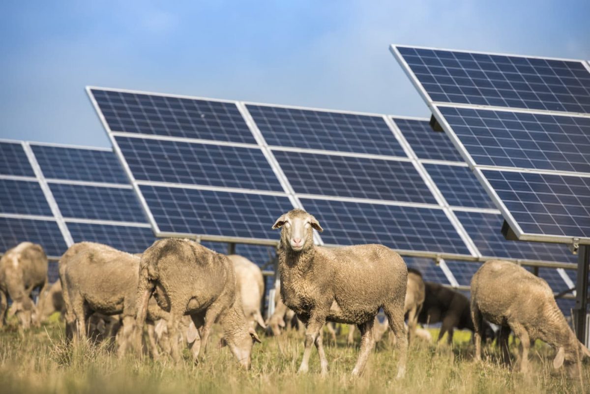 Solar Industries Open Opportunities to Coal Regions
